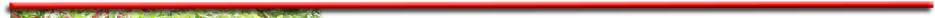 ppb6be8b09.jpg